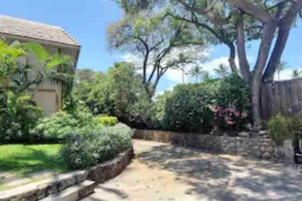Unrivaled S Kihei Maui Location! Walk To It All! Exteriör bild