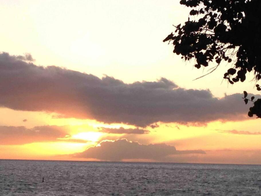 Unrivaled S Kihei Maui Location! Walk To It All! Exteriör bild